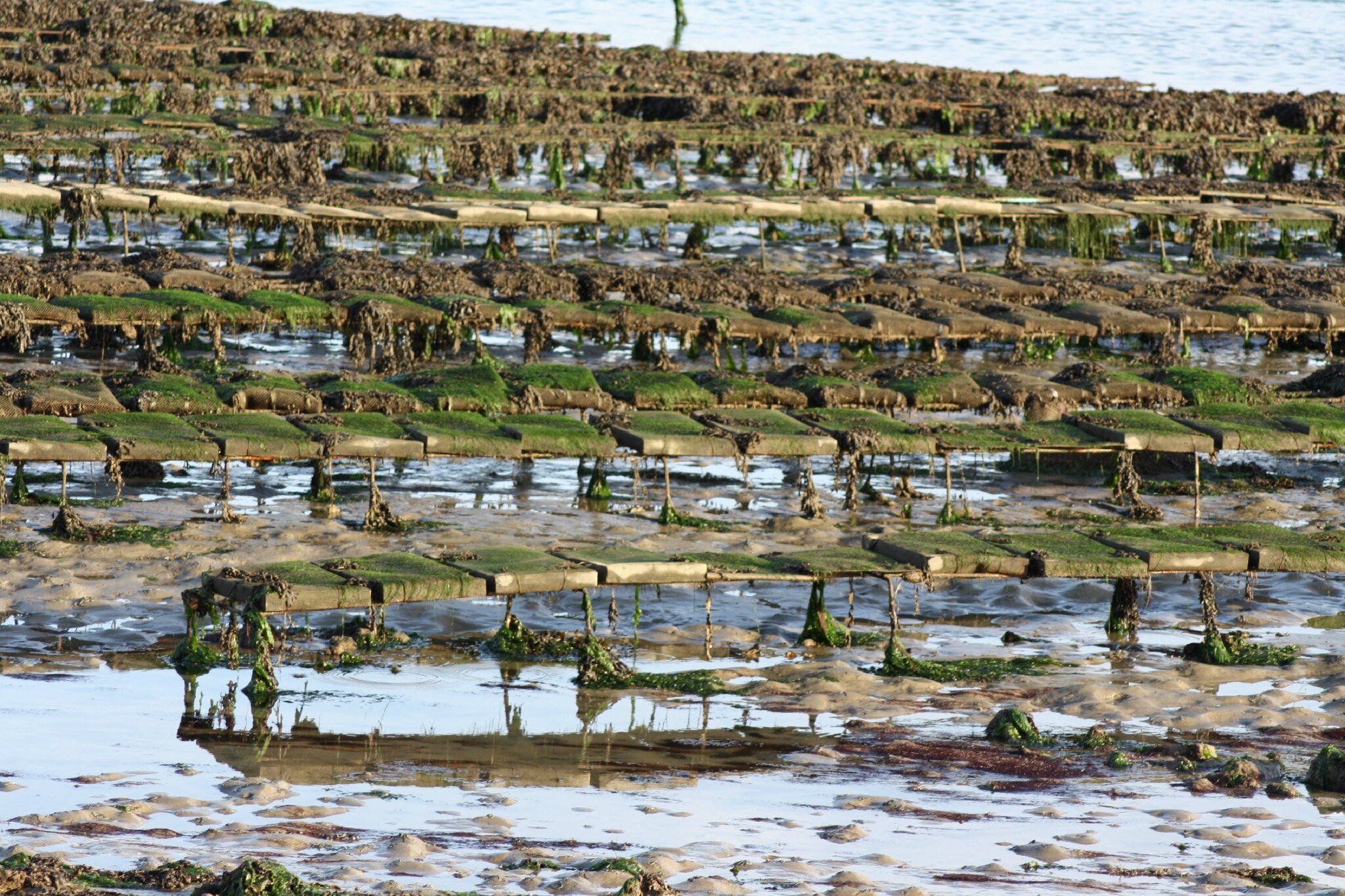 Les lacs à bachkirii pour la pêche
