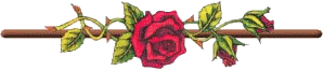 séparateur rose