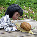 IMG_5014