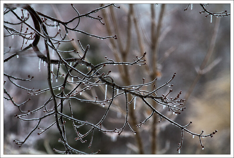 IMG_4033-1