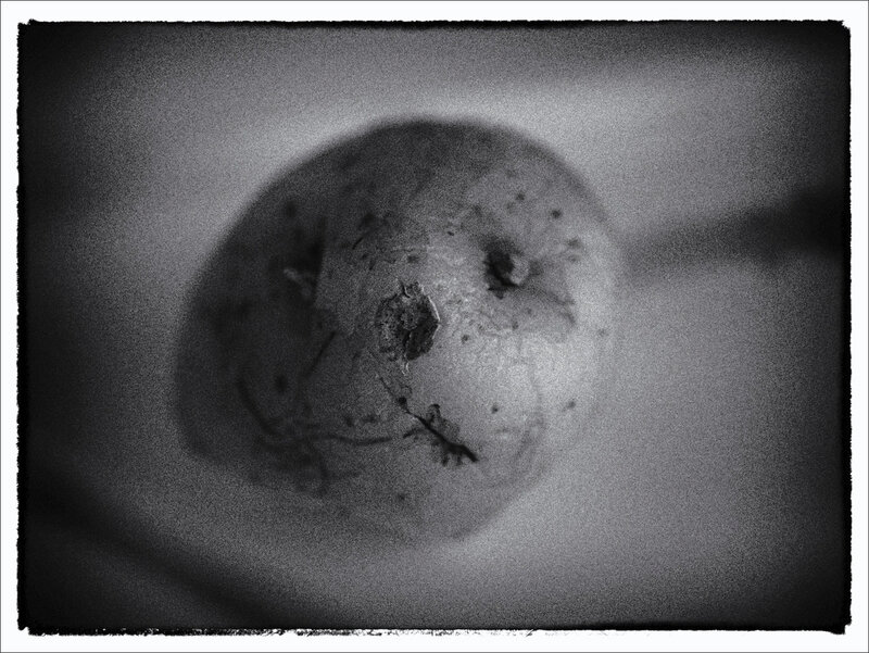 Patate solo 060221 2