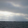 La mer à locquémeau (côtes d'armor) le 15 mars 2014 (3)