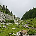 La prairie de l'Aydie dans la combe Sent Hons...