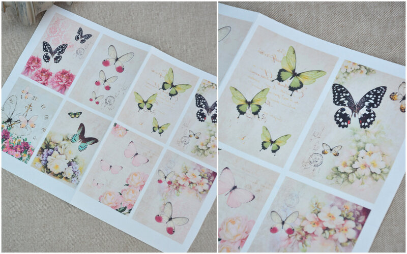 papillons par 8