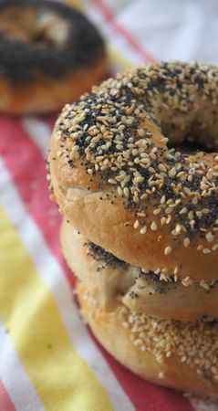 bagel 6