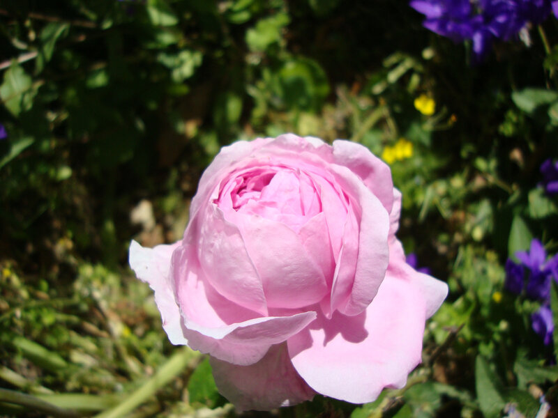 DSC06400