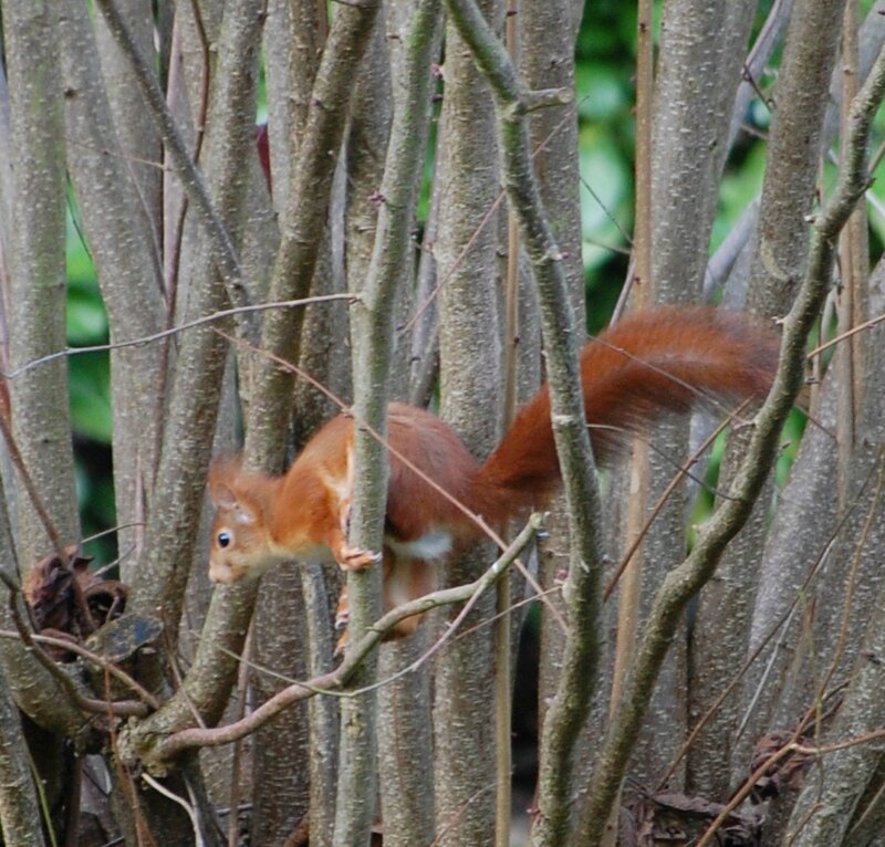 DSC_0460
