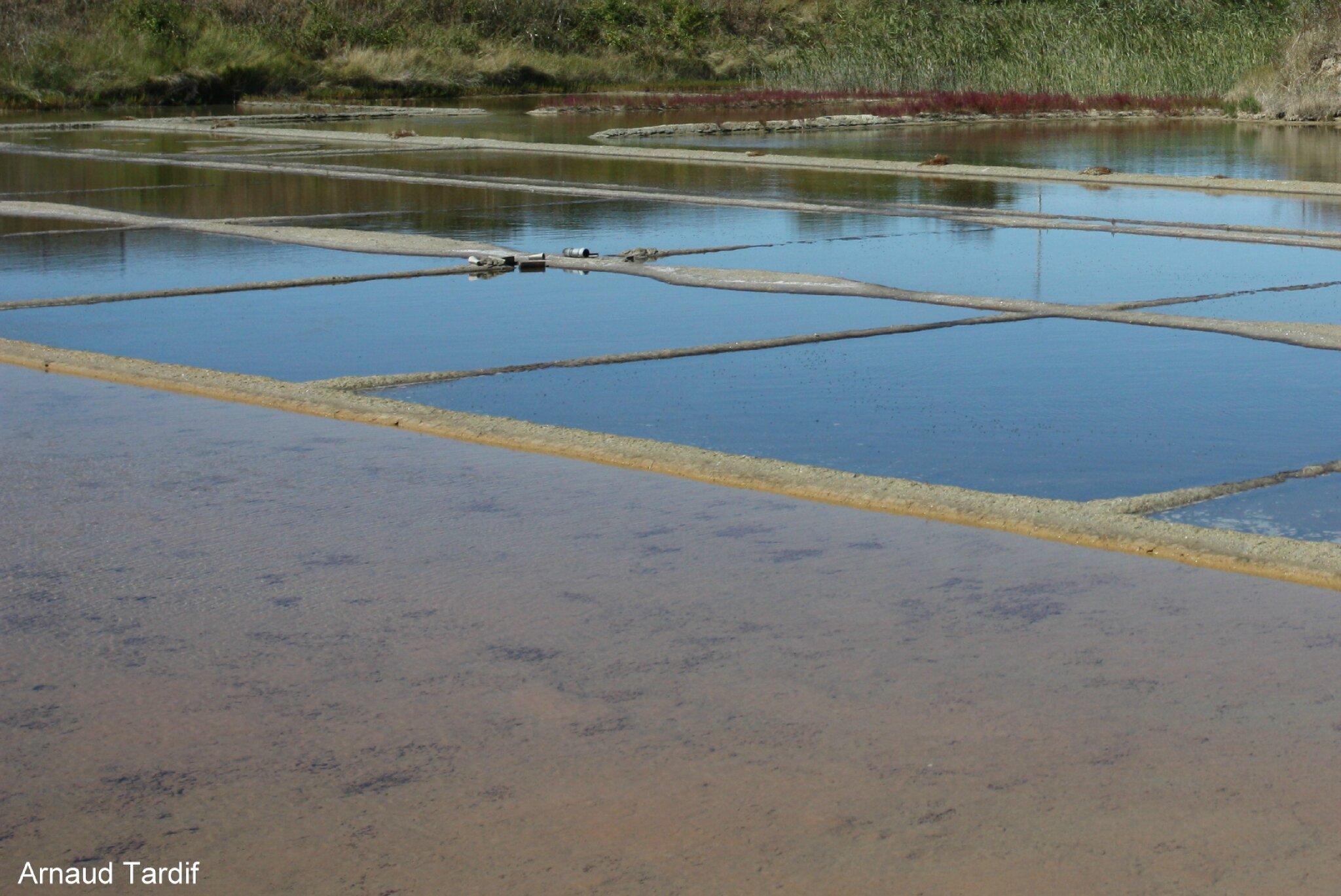 Fleur de sel Passion de l'image