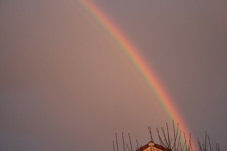 IMG_1277__1280x768_