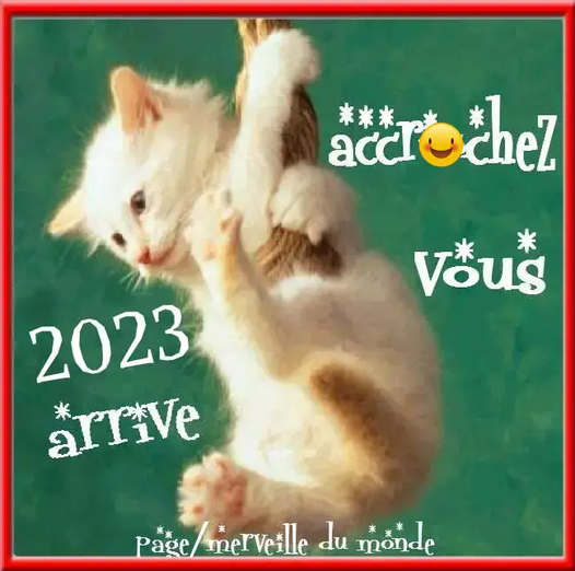 chat2023