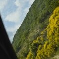 _DSC0490