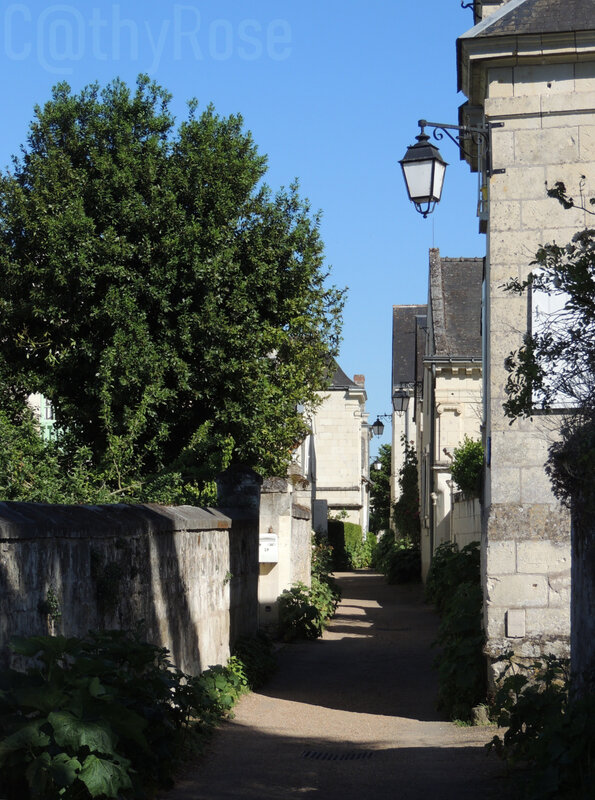 && Candes Saint-Martin (16)