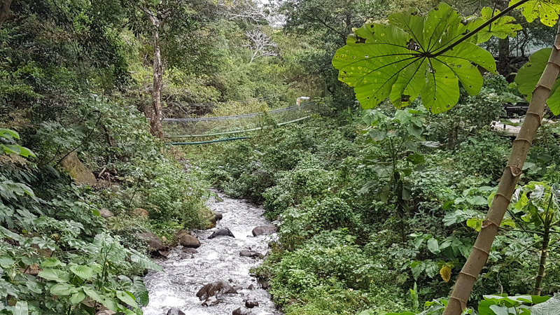 15-Dom Rivière et pont suspendu Costa Rica
