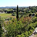 IMG_2618