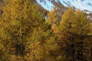 tn_IMG_8609