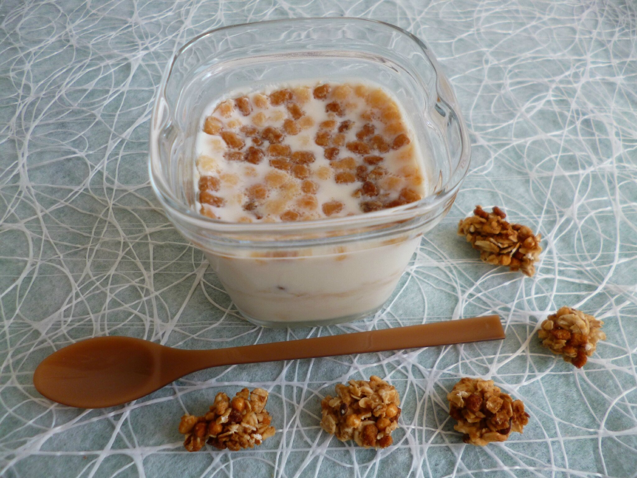 yaourts maison aux pépites de céréales protéinées miel-pomme-coco à  seulement 75 kcal (diététiques et riches en fibres) - mes gourmandises  diététiques