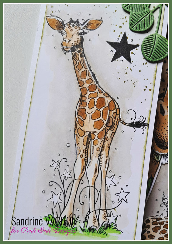 Sandrine VACHON anniversaire girafons PINK (2)