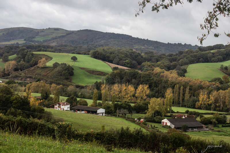 31102019-_MG_5839
