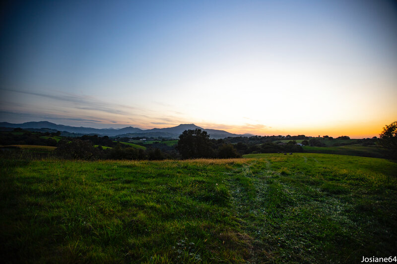 11102019-_MG_5799