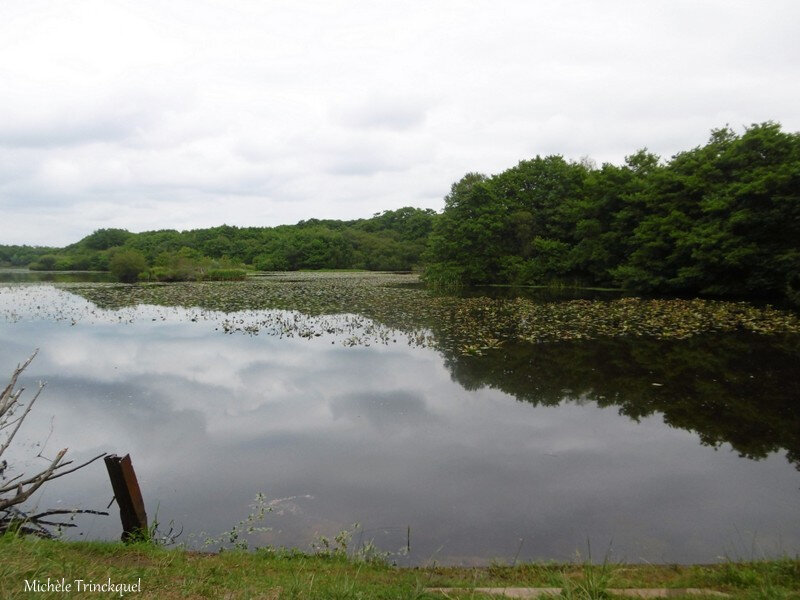 1-Balade au Lac 050819