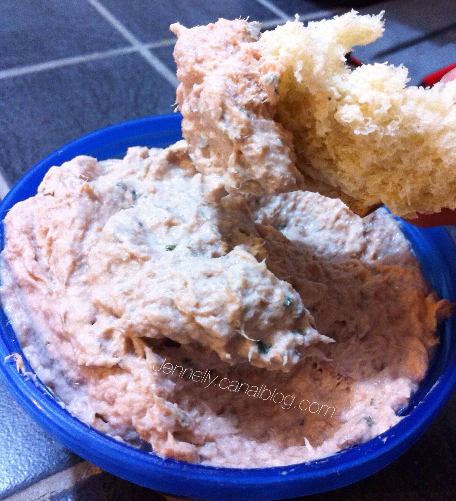 Rillettes de Thon au Thermomix Mes débuts