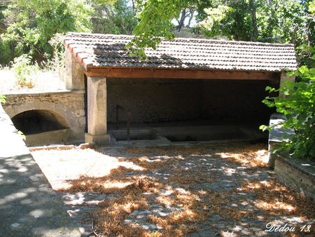 Photo_22300