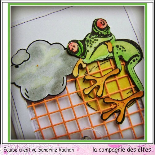 Carte grenouille UN PETIT COUCOU dt LCDE (2)