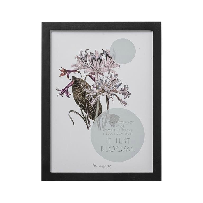 frame blooms