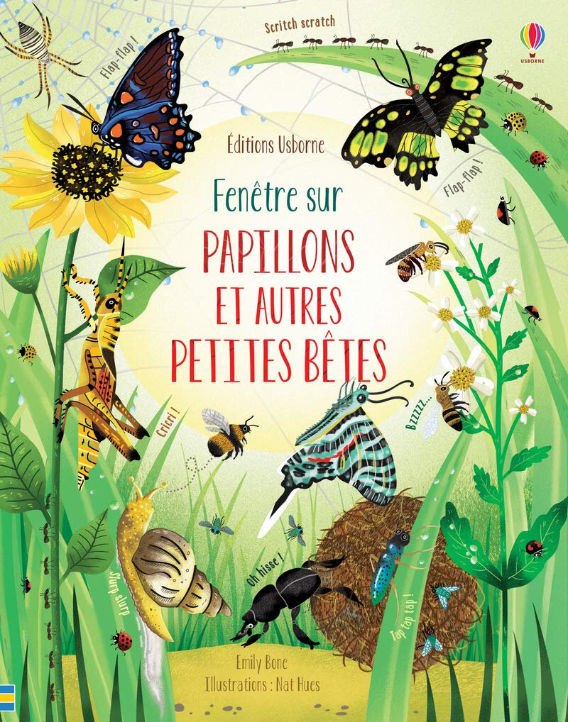 Des insectes, dans ma fenêtre?