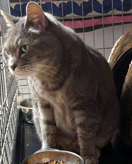 012820_gros minet