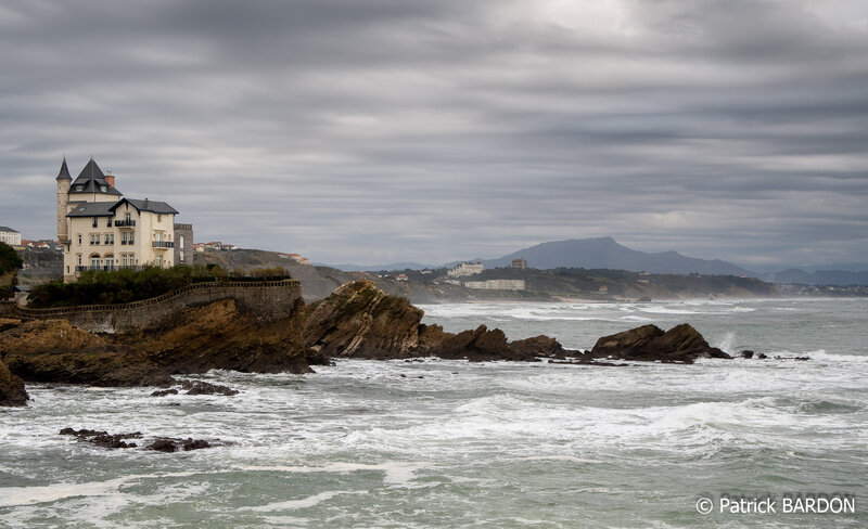 _DSC3409