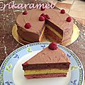 Gâteau chocociframboise