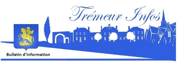 LOGO TREMEUR INFO