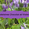 15 VIOLETTES(1)Madeleines chocolat et violettes