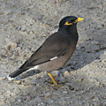 P1210080