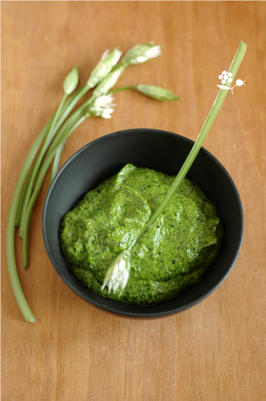 Pesto ail des ours