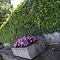 _DSC0109