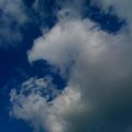 IMG_0080