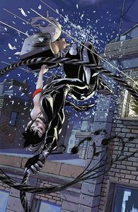 catwoman 1a