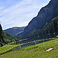 _DSC0215