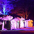 La fête du solstice à la roche-aux-fées à essé (ille-et-vilaine) le 21 décembre 2016 (4)