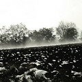 langue de nuage
