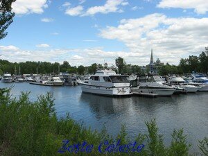IMG_1248