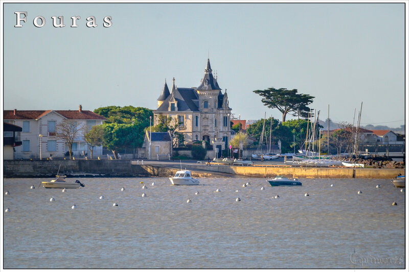 Port de Fouras - ducs d'Aquitaine et comtes de Poitiers - Charente-Maritime