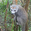 P1250130