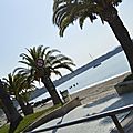_DSC0340