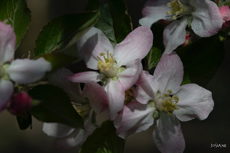 31032019-_MG_5168