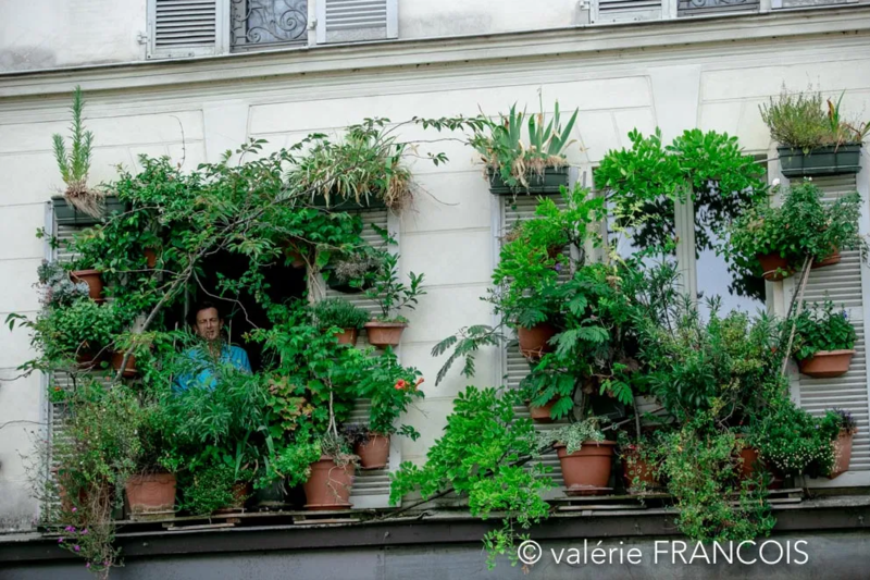 jean david vegetalisation paris photo de valerie françois (2)