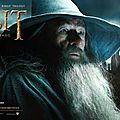 The Hobbit Desolation of Smaug 05