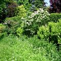 DSC02348